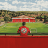 Wrexham AFC Football Diamond Painting